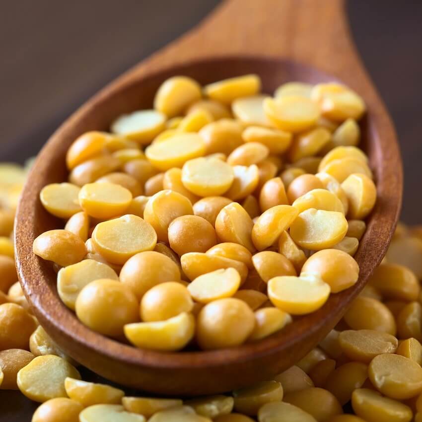 Textured pea protein Exeller N.V.