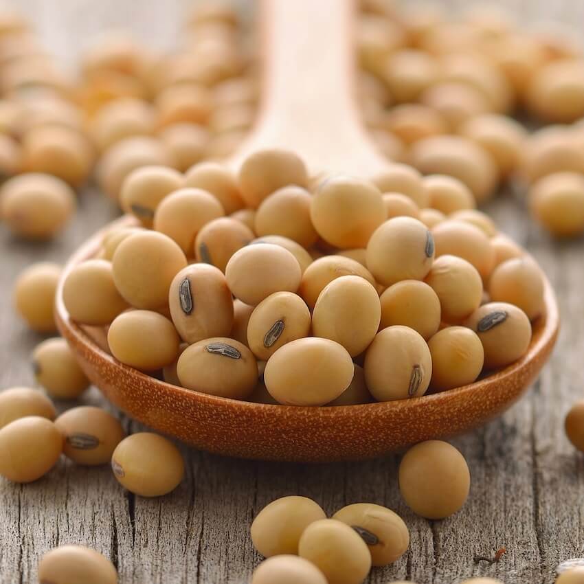 Exelsoy® 960 Isolated soy protein for vegetarian products Exeller N.V.